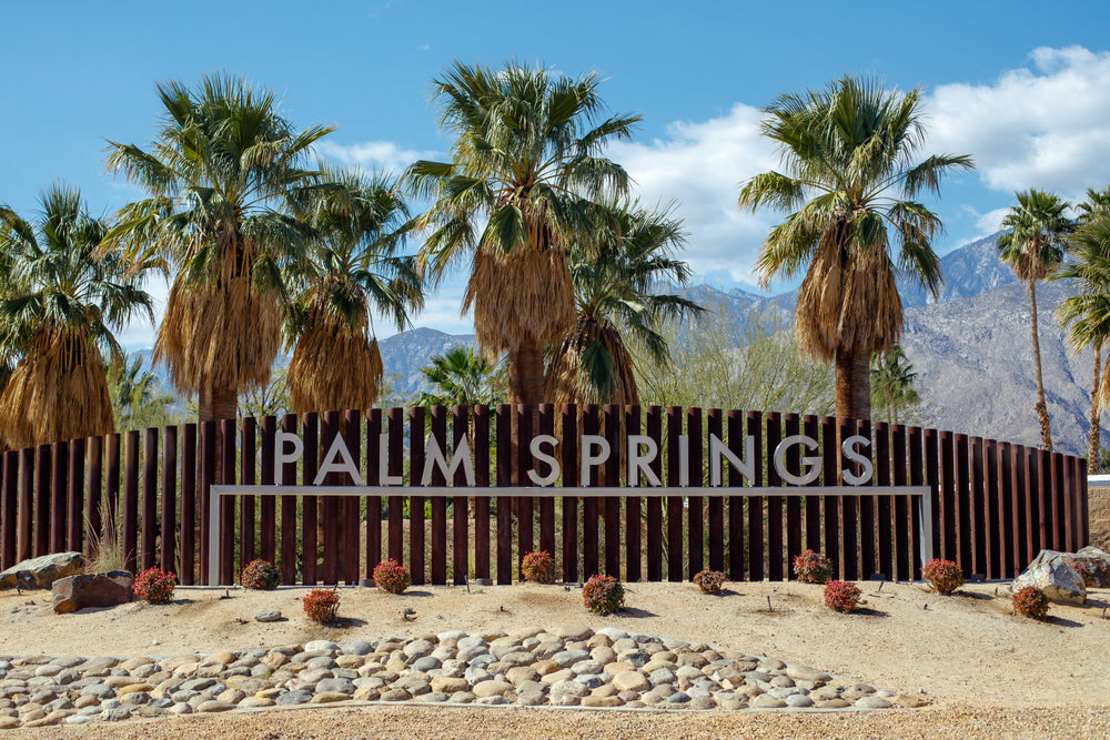 View of the city of Palm Springs entrance sign with palm trees growing behind it