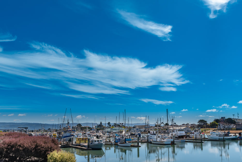 Eureka, California. CA . Boats docked at the marina