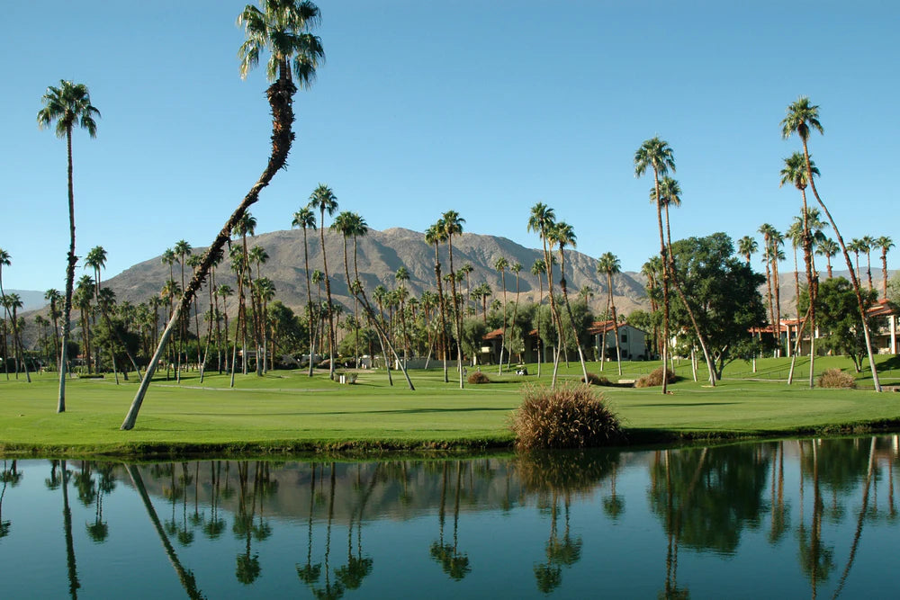 Destination Guide: Palm Springs