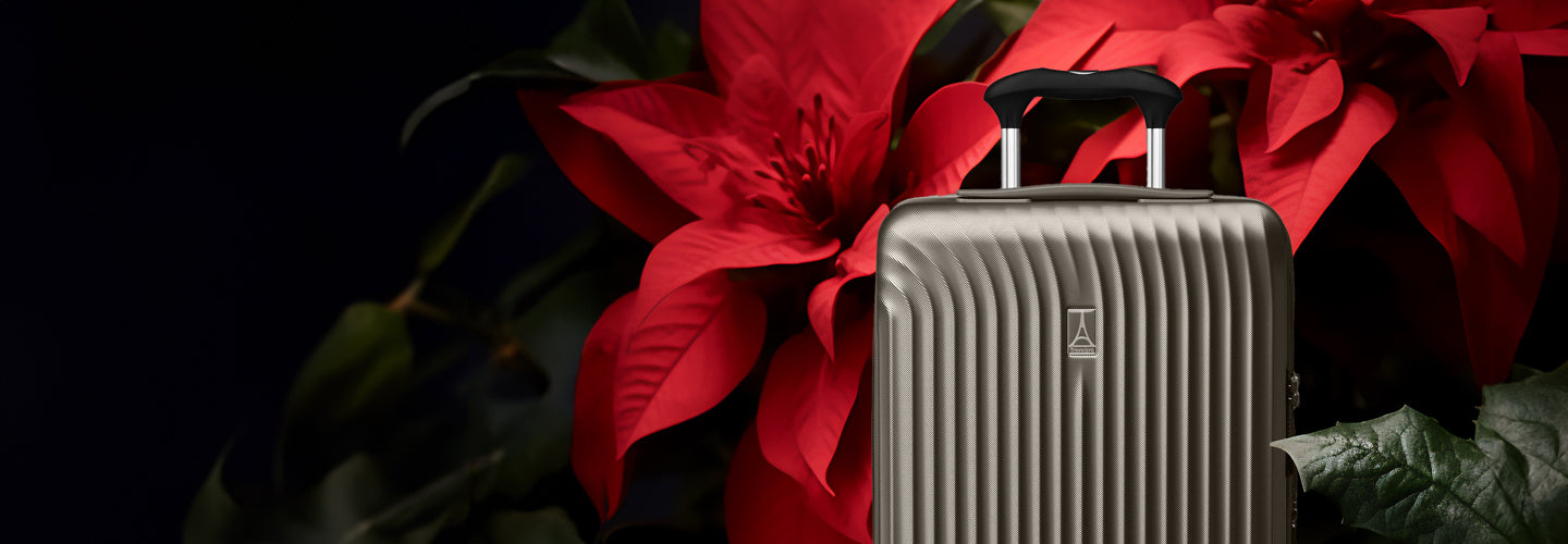 HOLIDAY GIFT GUIDE