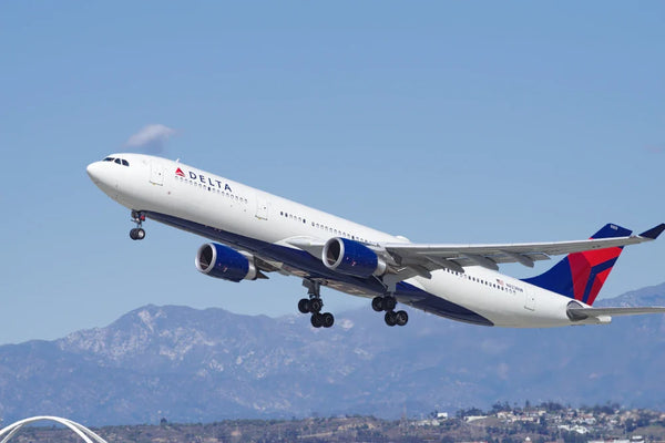 Tailles et restrictions des bagages à main sur Delta Air Lines